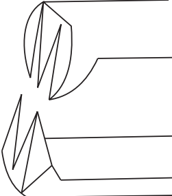 Fixation Forceps